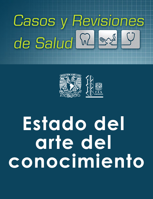 Estado-del-arte-del-conocimiento